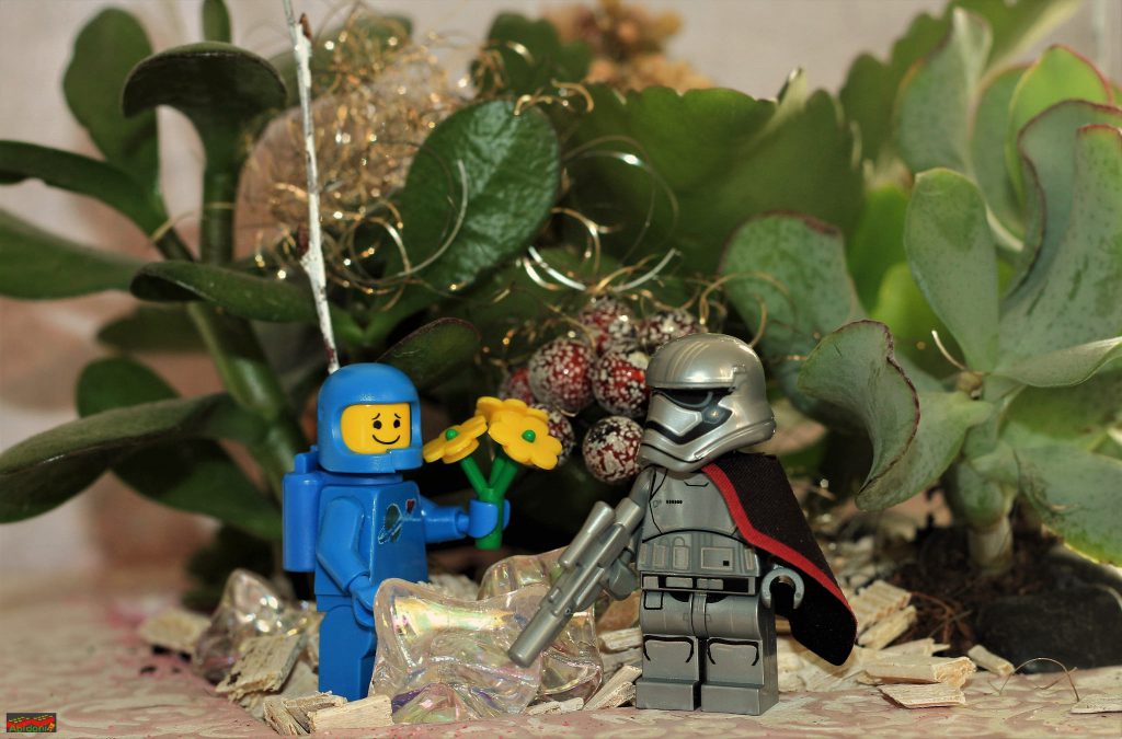 Brick_Pic_Benny_in_love