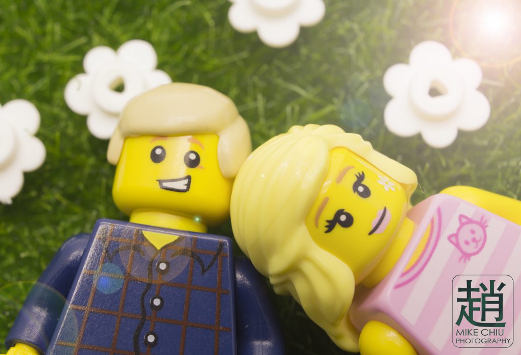 Brick_Pic_Sun