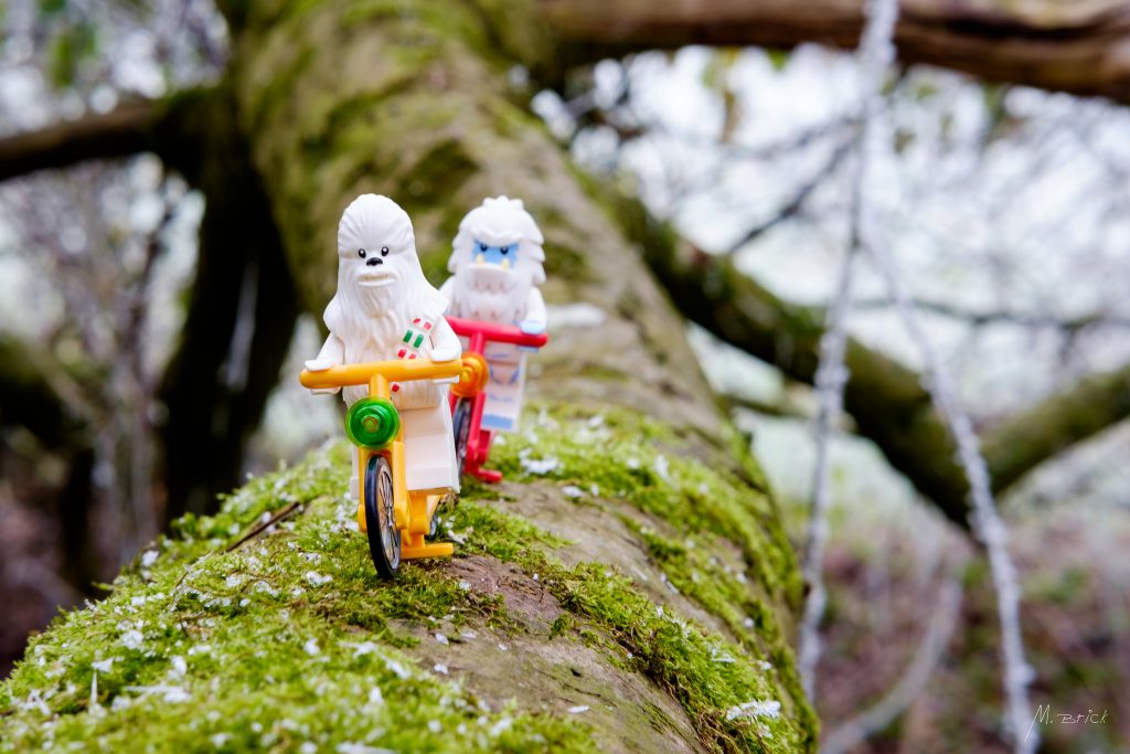 Brick_Pic_Yetis