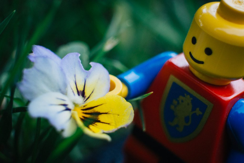 Brick_Pic_Knight
