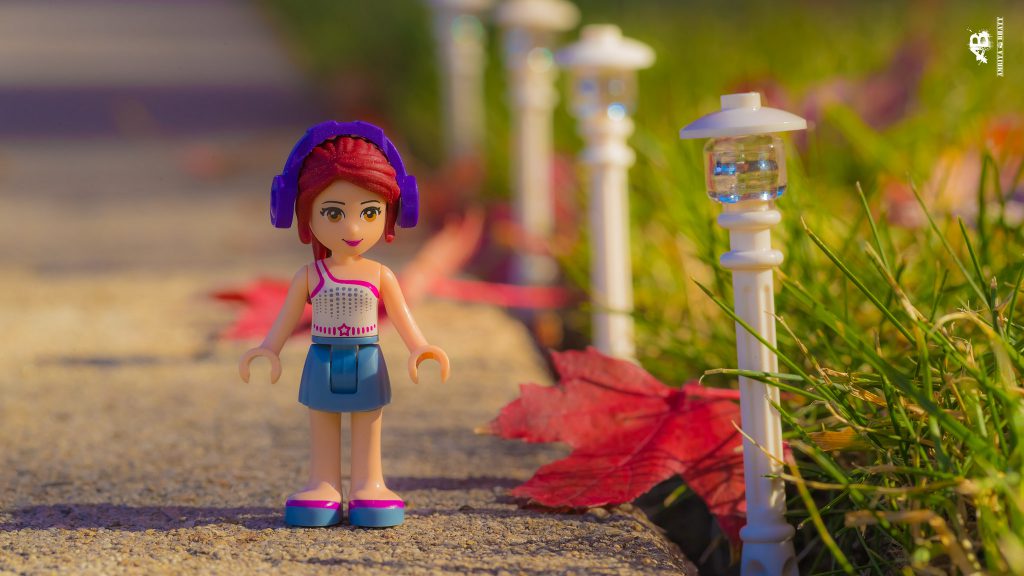 Brick_Pic_Walk