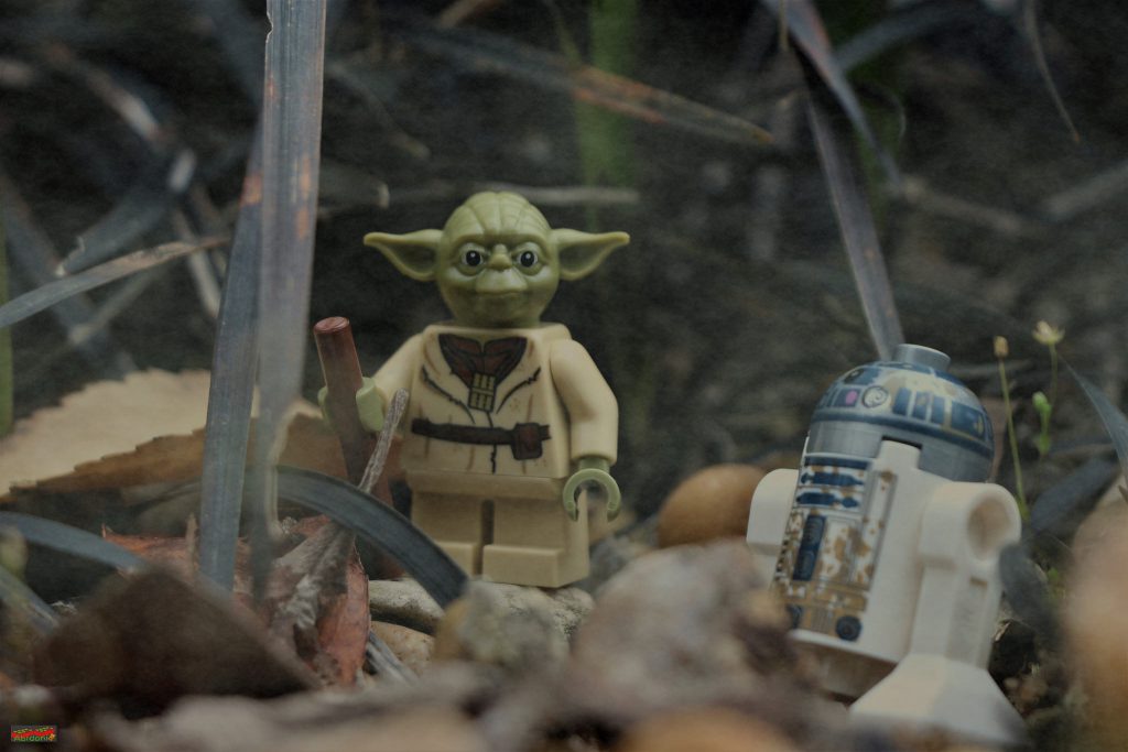 Brick Pic Dagobah 1 1024x683