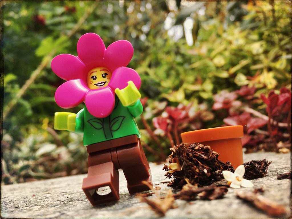 Brick_Pic_Wildflower