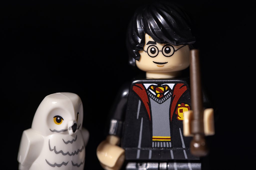 Brick Pic Harry Hedwig 1024x683