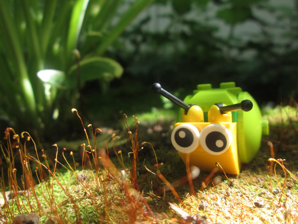 LEGO Snail 1024x768