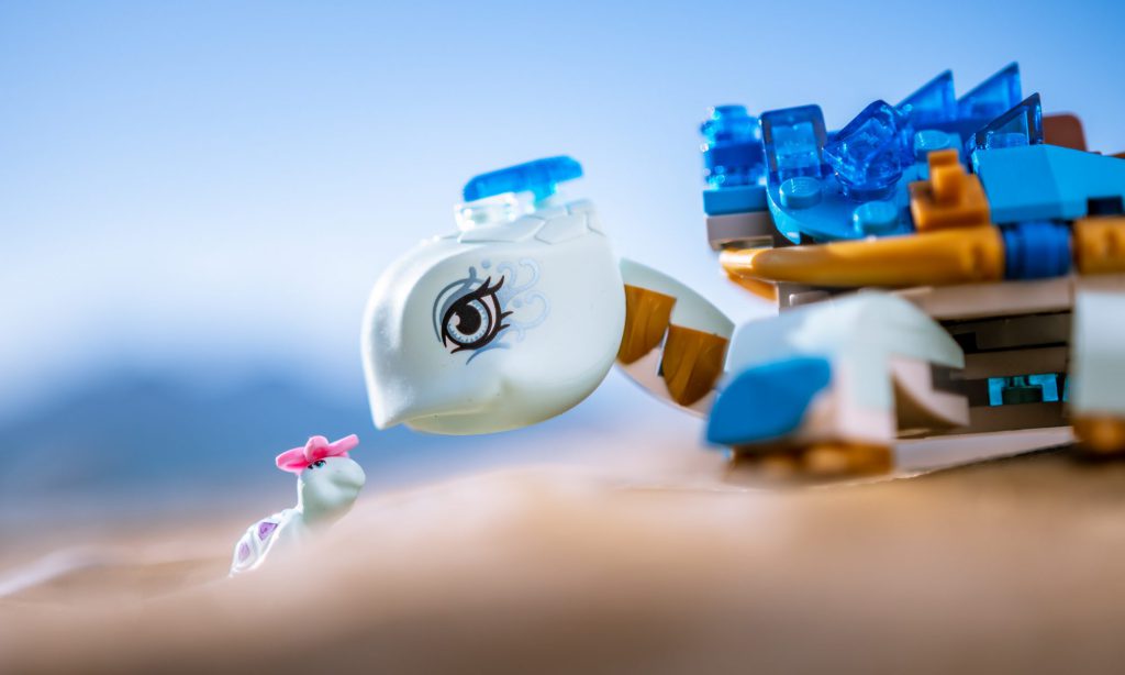 Brick Pic Water Dragon 1024x614