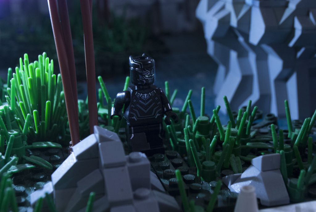 Brick Pic Black Panther 1024x686