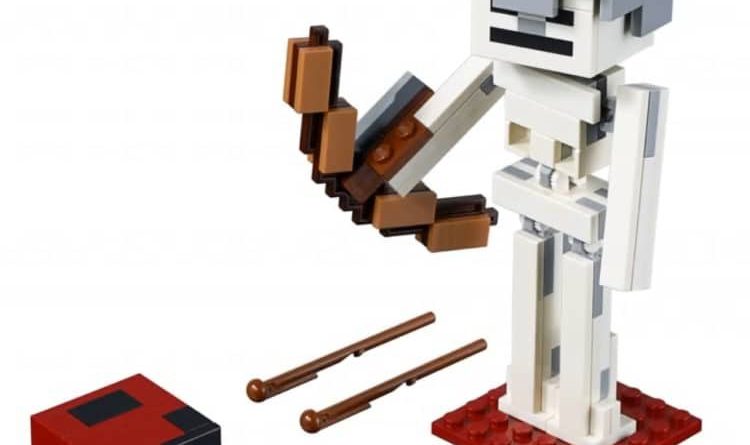 LEGO Minecraft 21150 Skeleton with Magma Cube