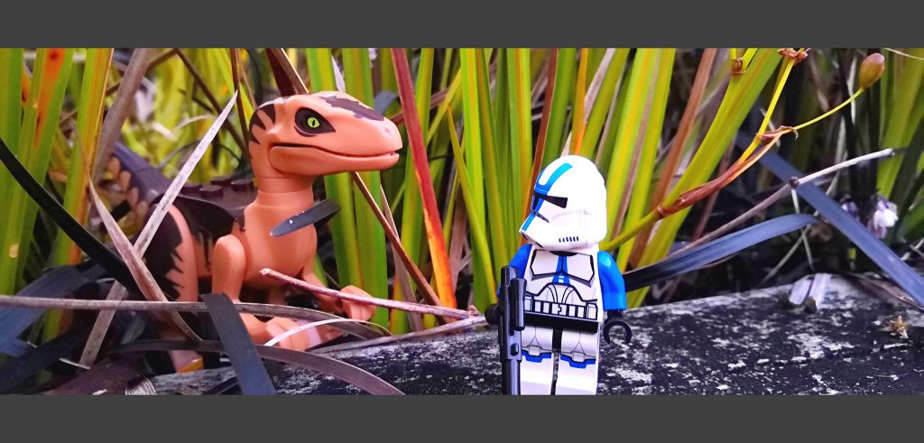 Brick Pic Clever Girl 1024x491