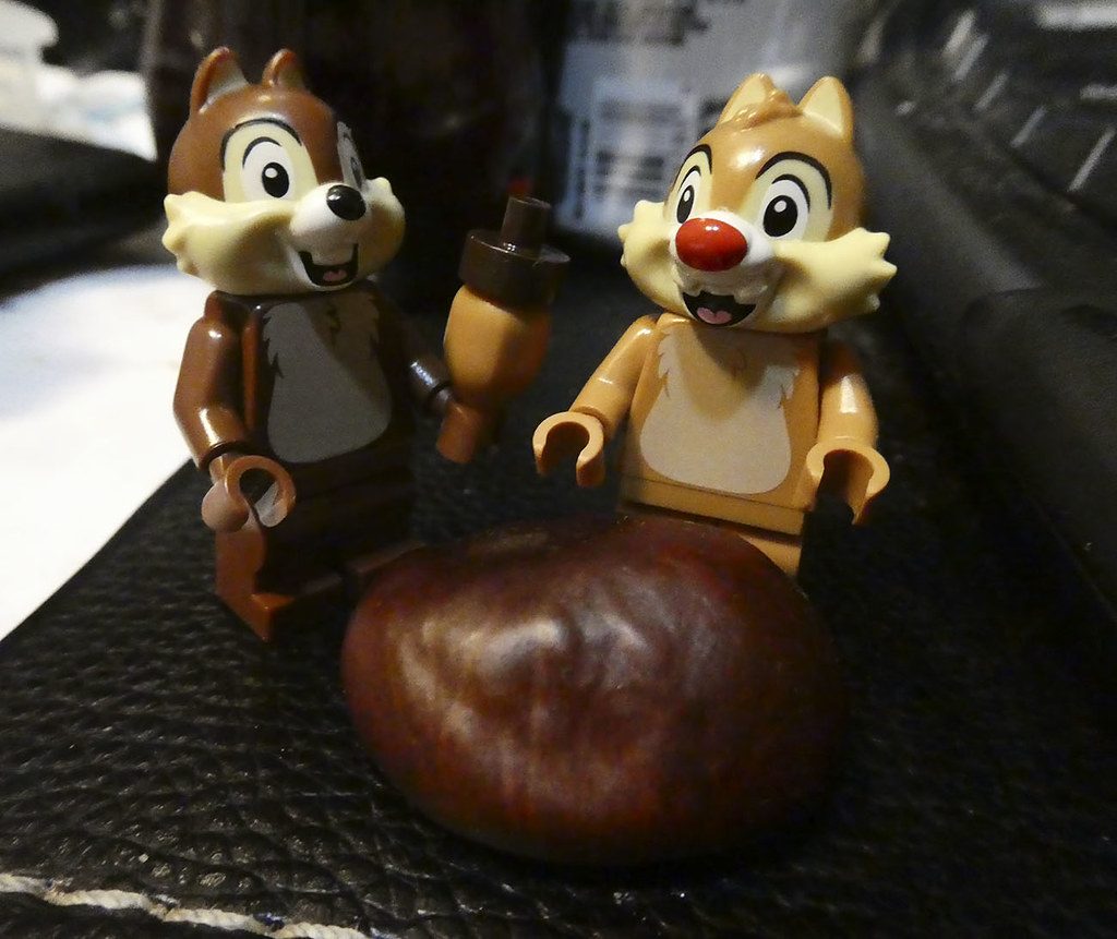 Brick Pic Chip Dale conker 1024x861