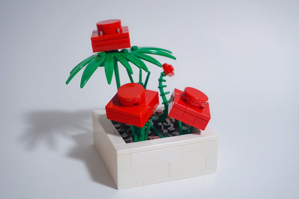 Brick Pic red plate flowers 1024x683