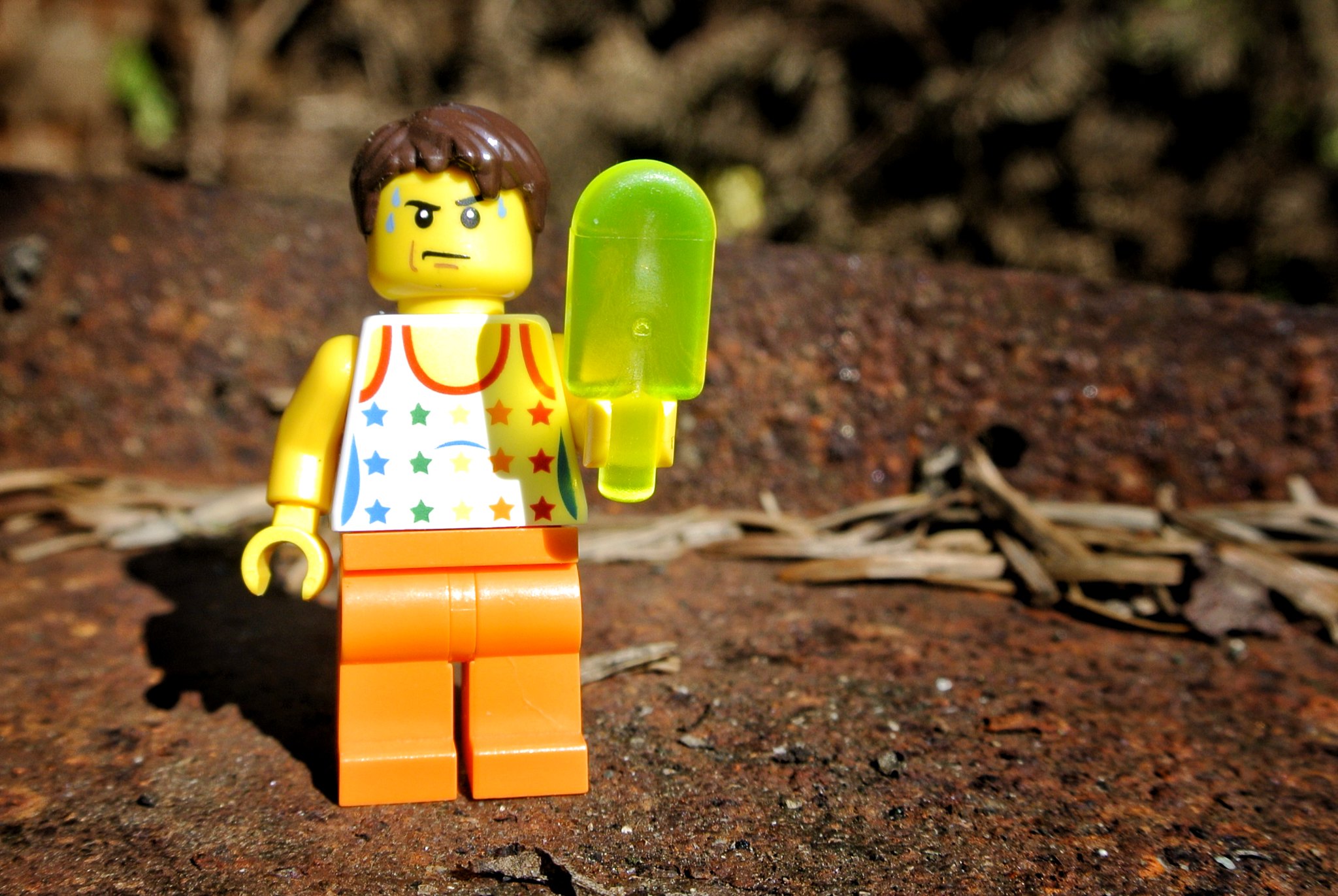 LEGO Bank Holiday