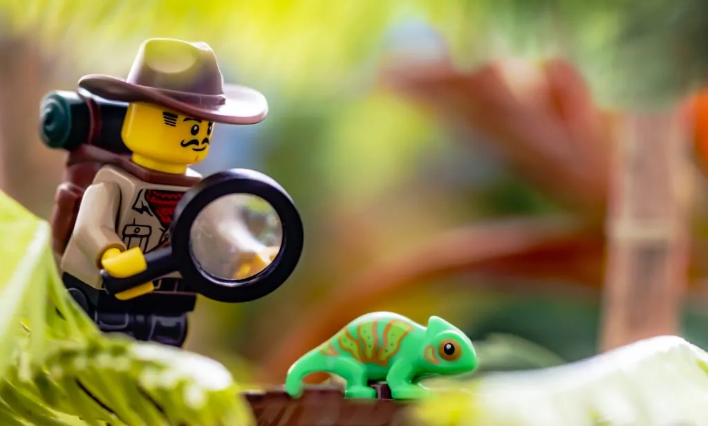 Brick Pic of the Day: In search of the elusive LEGO chameleon