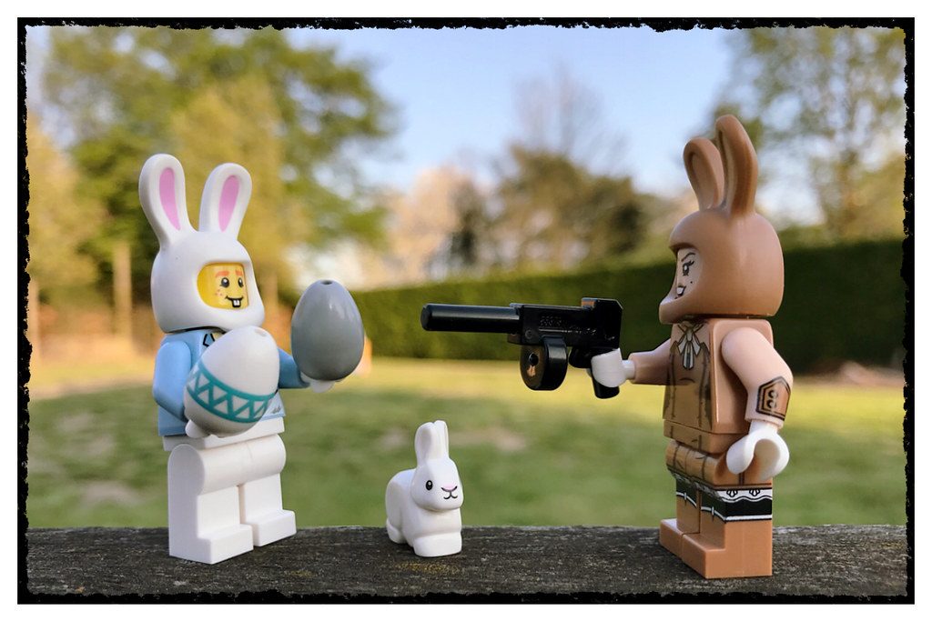 Brick Pic bunny shoot out 1024x683
