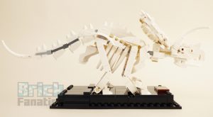 21320 Dinosaurfossiler