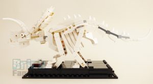 21320 Dinosaurfossiler