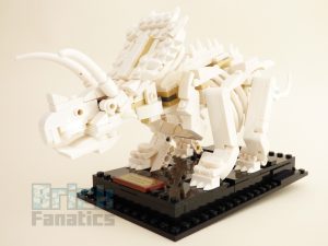 21320 Dinosaurfossiler