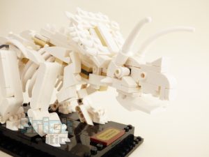 21320 Dinosaurfossiler