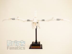 21320 Dinosaurfossiler