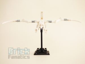 21320 Dinosaurfossiler