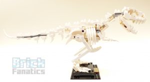 21320 Dinosaurfossiler