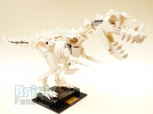 21320 Dinosaurfossiler