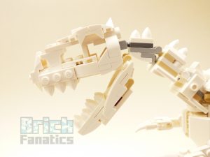 21320 Dinosaurfossiler