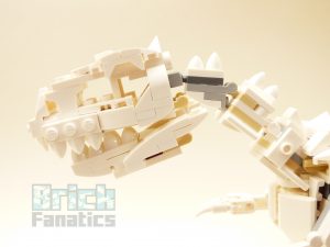 21320 Dinosaurfossiler