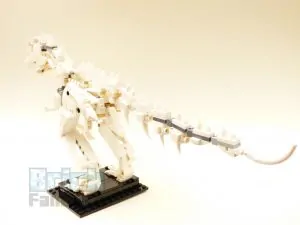 21320 Dinosaurfossiler