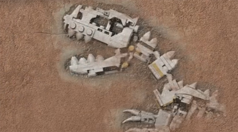 LEGO Ideas 21320 Fossili di dinosauri anticipano 800 445