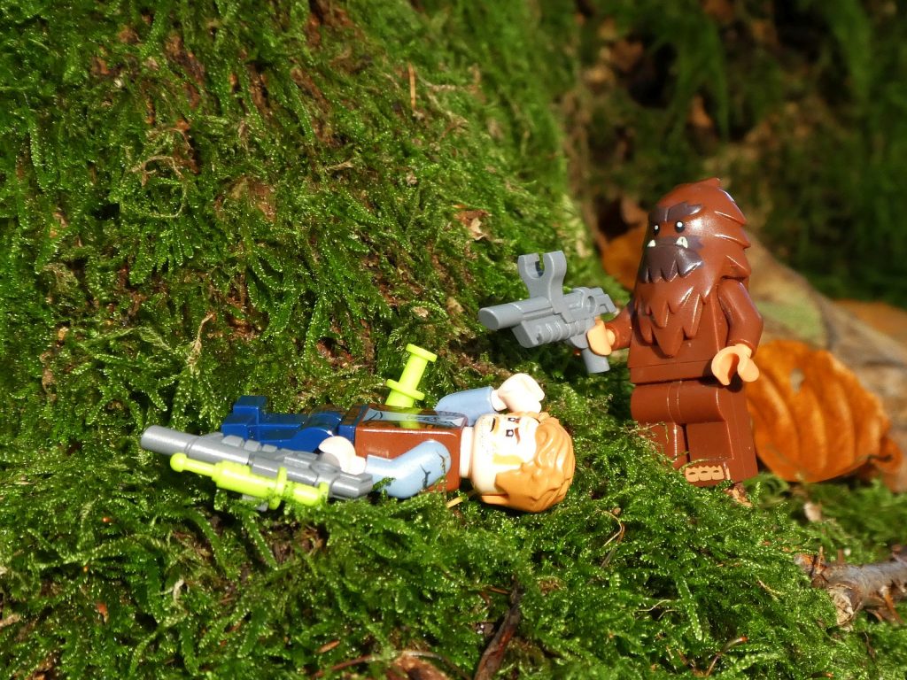 Brick Pic Owen Yeti 1024x768