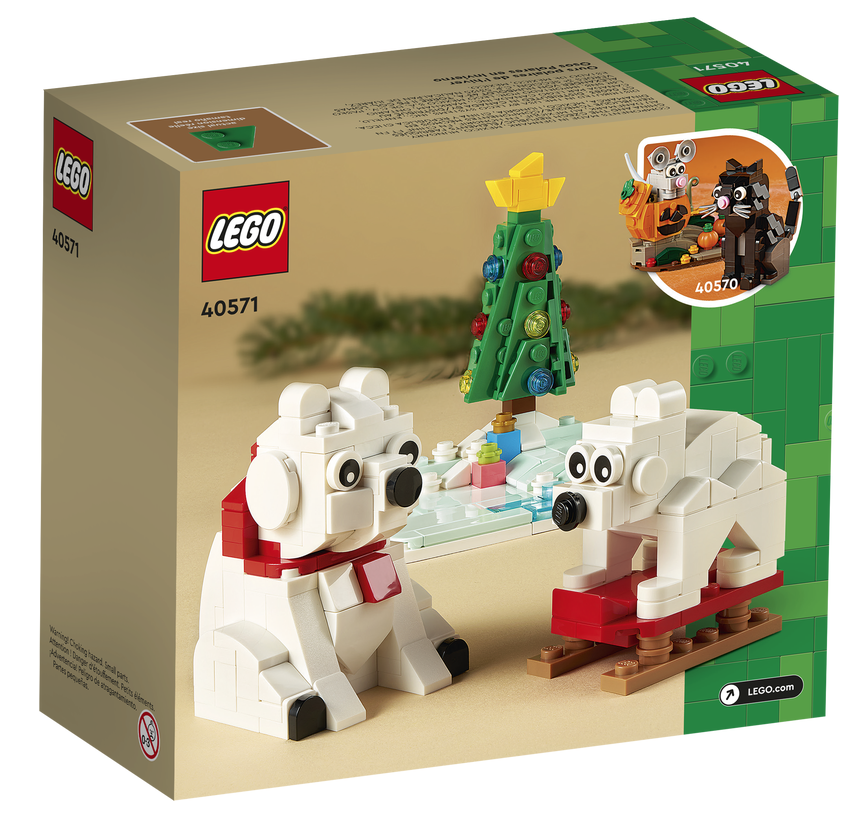 40571 Wintertime Polar Bears box back
