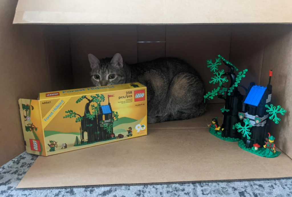 LEGO 10305 Lion Knights Castle cat 2 reddit