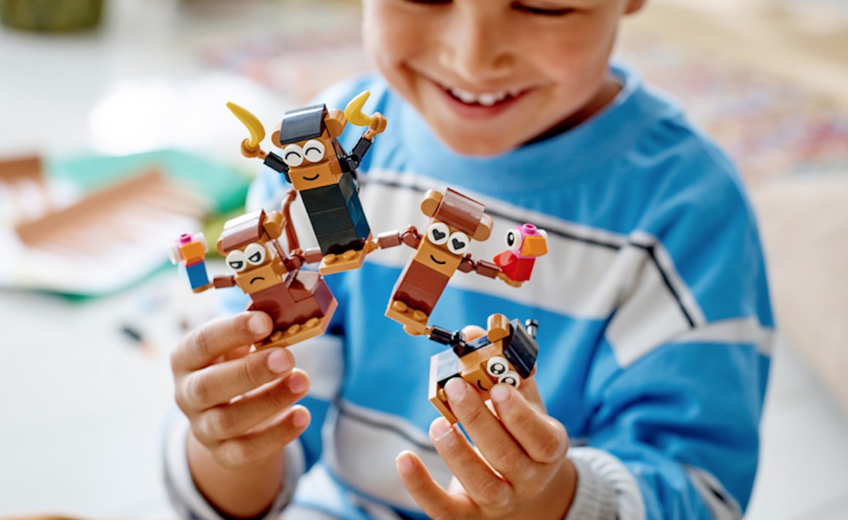 LEGO Classic 11019 - Briques et Fonctionnalités, Jouets de Construction  Enfants pas cher 