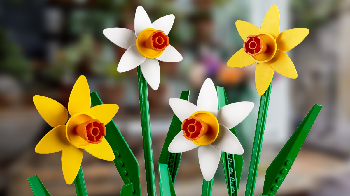 Rivelate tre nuove esclusive LEGO: fiori, piñata, V-Day