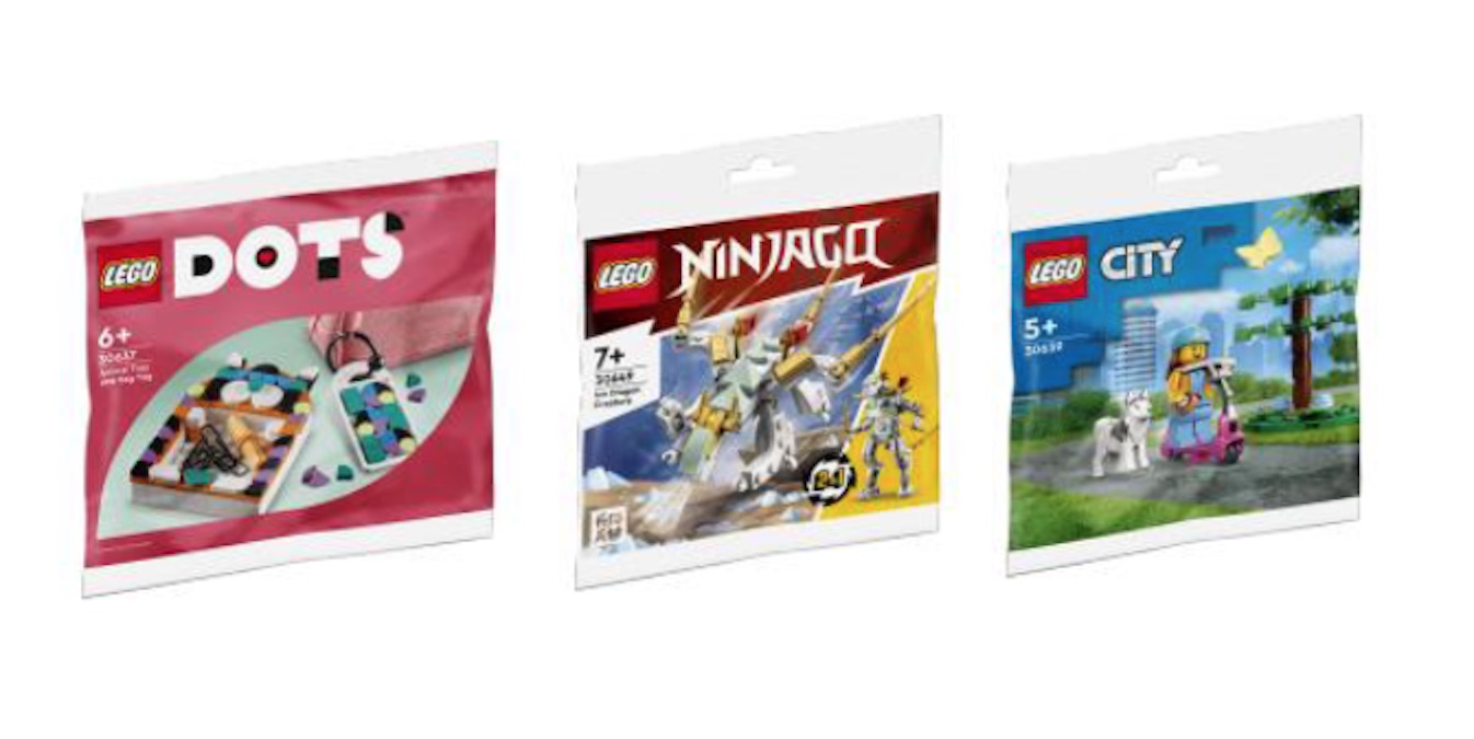 More LEGO 2022 Polybags Revealed  BricksFanz