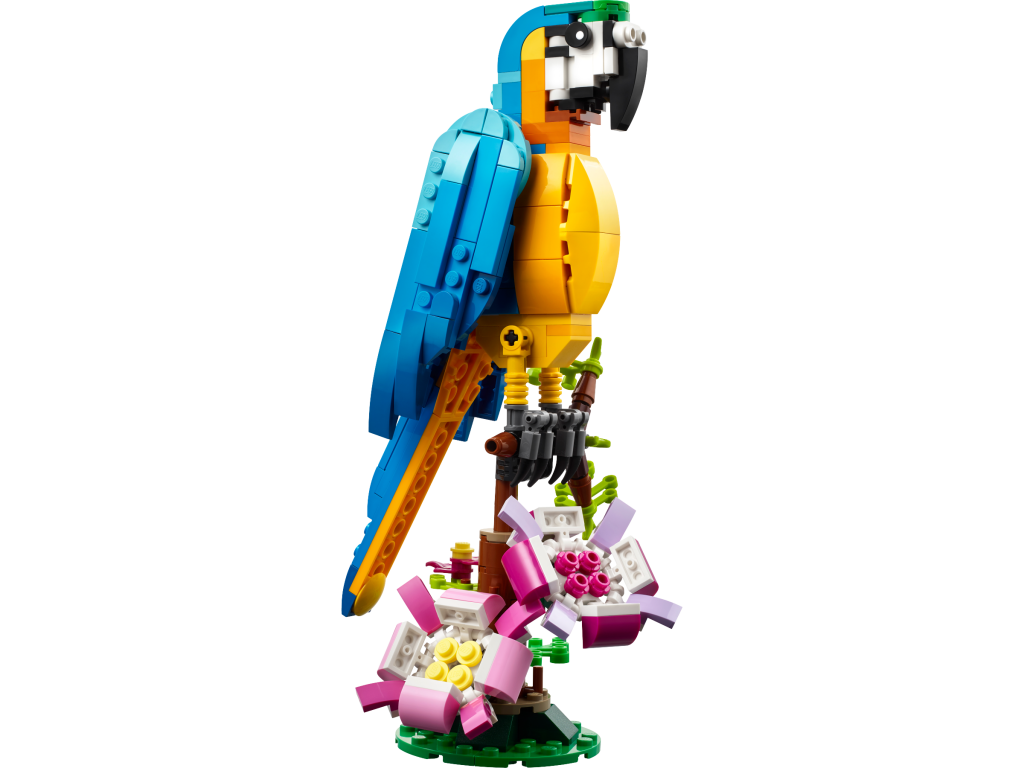 31136 Exotic Parrot 2