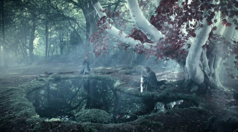 Game of Thrones Weirdwood Tree in Winterfell