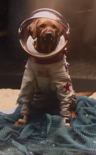 Guardians of the Galaxy Vol. 3 Cosmo the Spacedog
