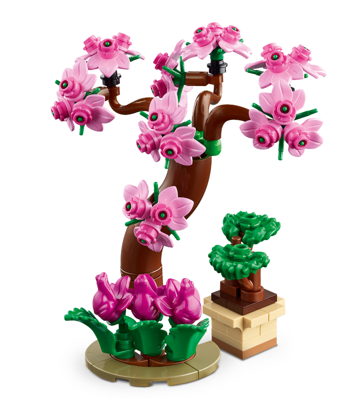LEGO Friends 41757 Botanical Garden revealed on LEGO store