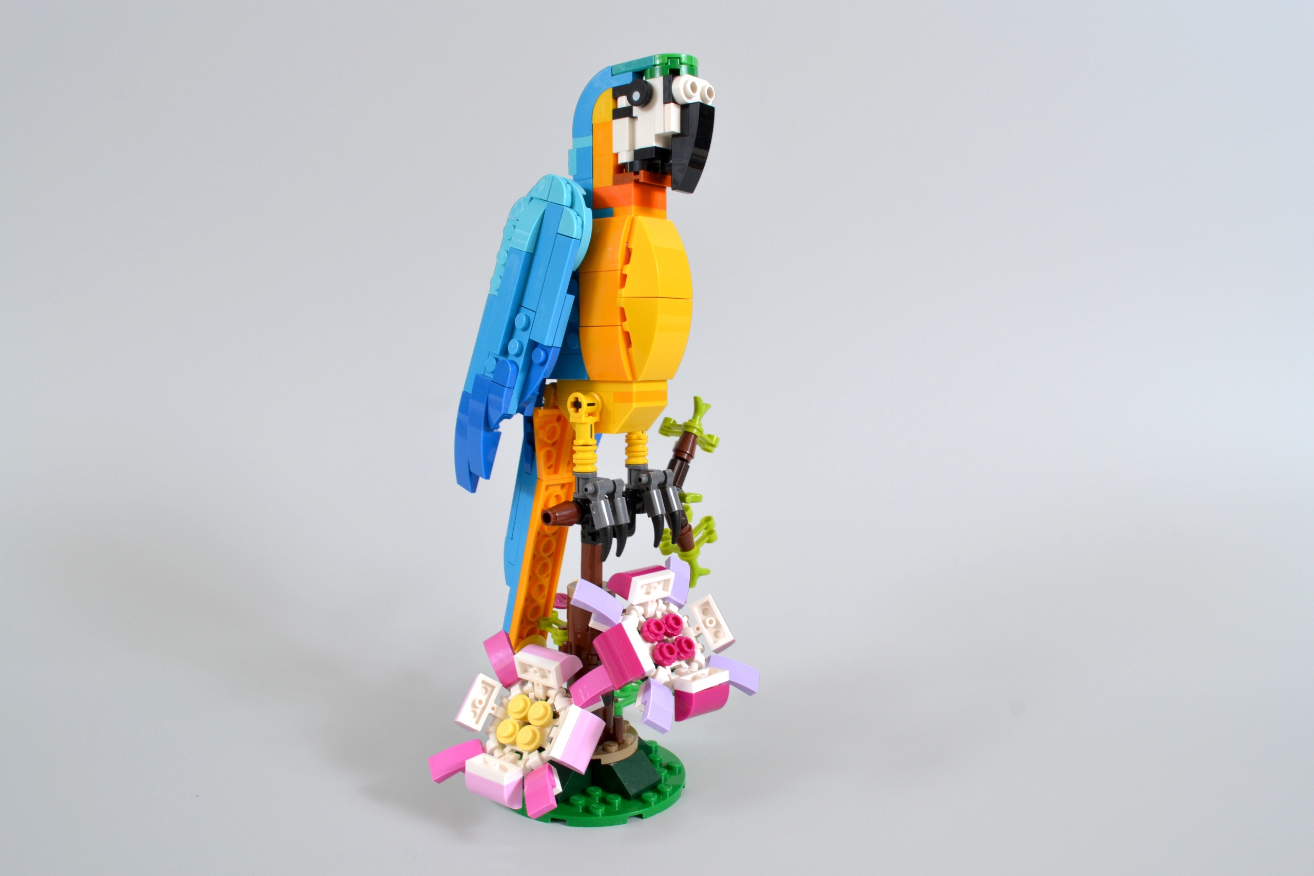 LEGO® Creator 3-in-1 31144 Pappagallo esotico rosa