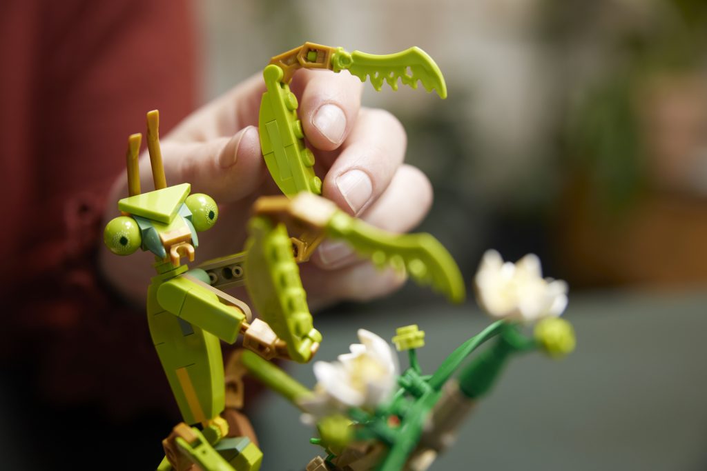 LEGO Ideas 21342 The Insect Collection 4 1024x683