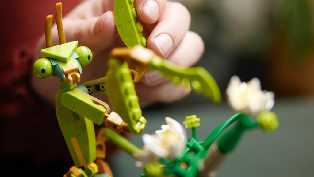 LEGO Ideas 21342 A Coleção de Insetos apresentou 2 imagens de 1024x576