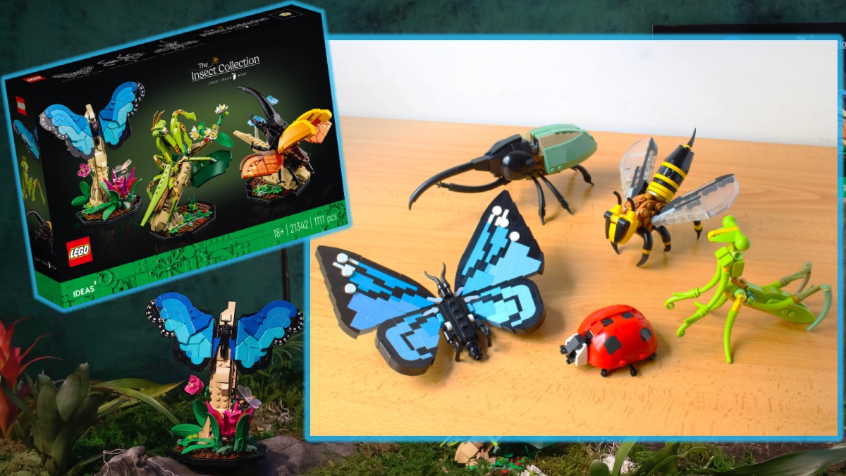 Five differences between LEGO Ideas 21342 The Insect Collection and the  original project