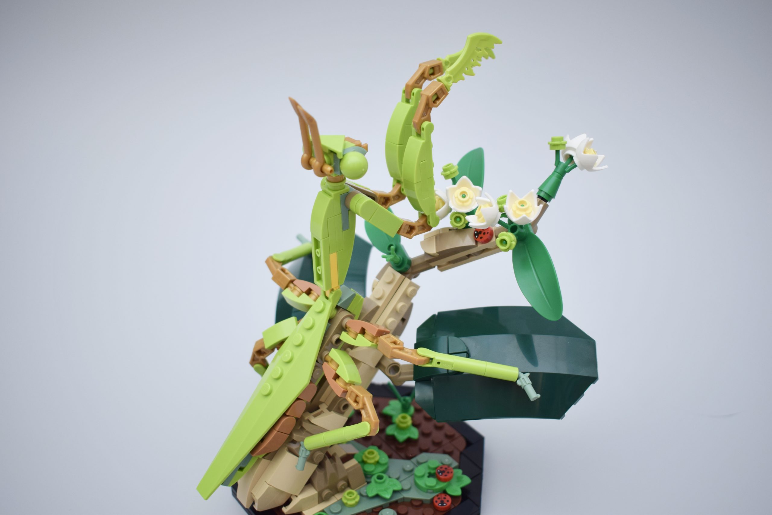 LEGO 21342 The Insect Collection, part 3 review