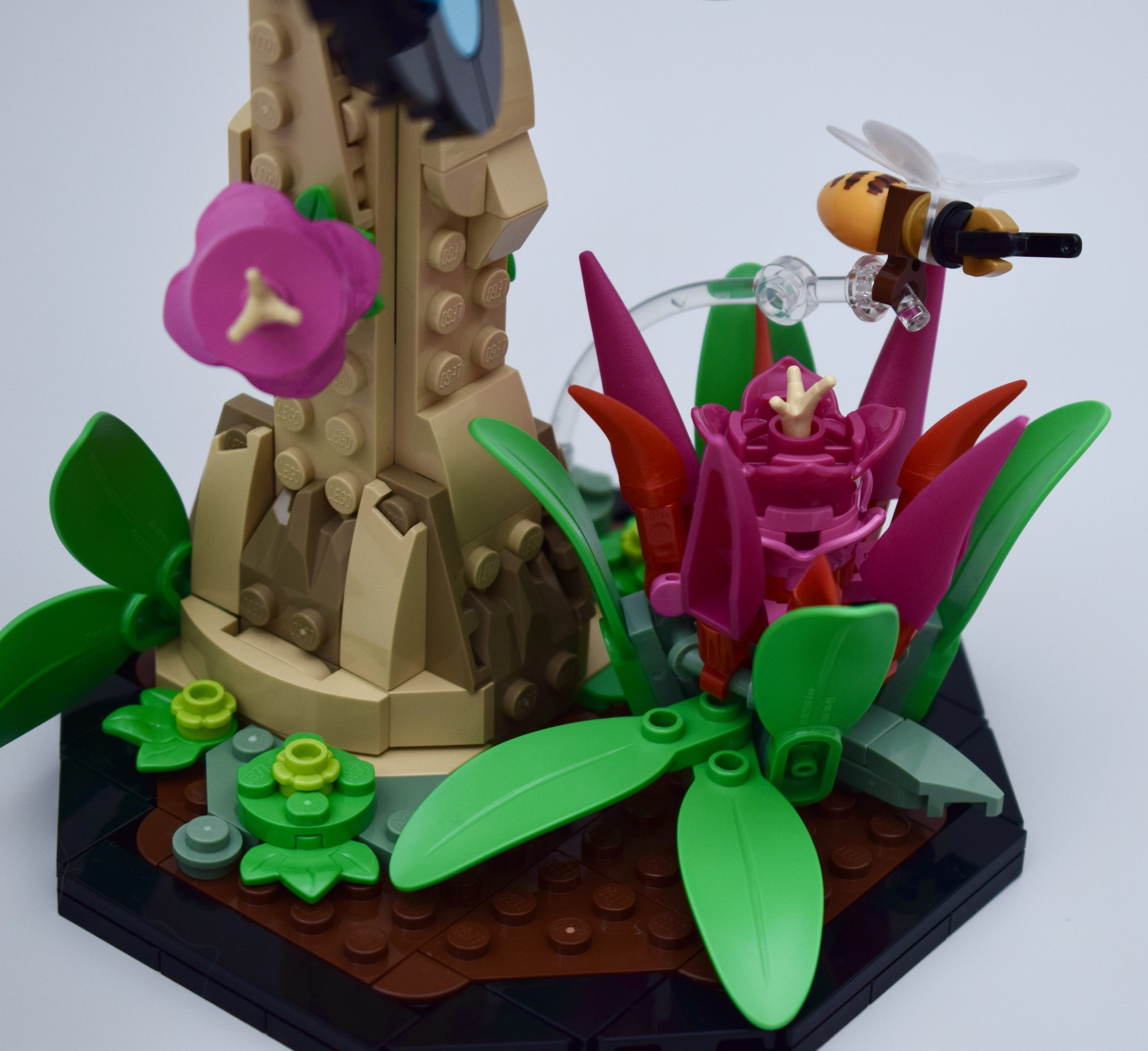 Brickfinder - LEGO Ideas The Insect Collection 21342 Official Reveal!