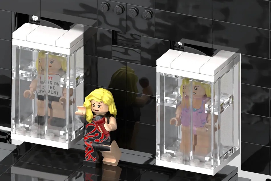  Taylor Swift Lego Set