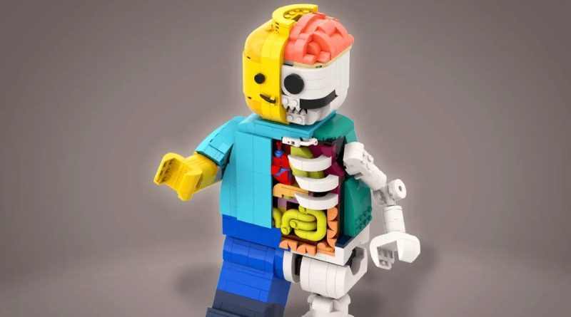 LEGO Ideas 21333 Vincent van Gogh fan designer gets anatomical