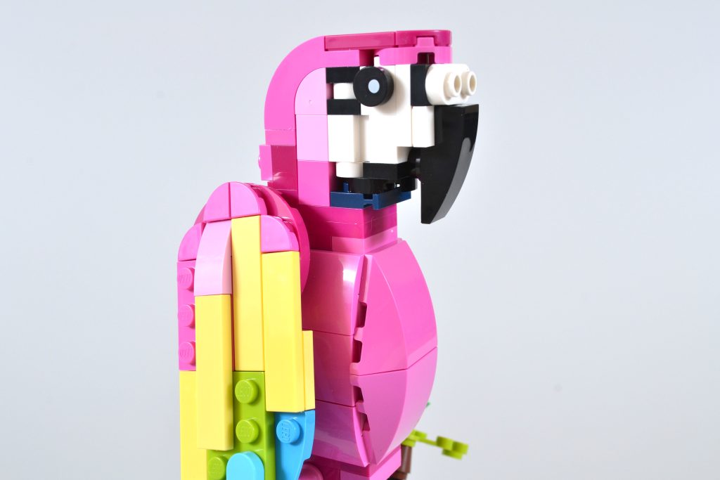 LEGO Creator 3 in 1 31144 Exotic Parrot 6 1024x683