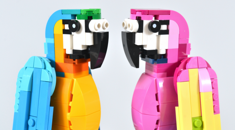 LEGO Creator 3-in-1 Les perroquets exotiques s'affrontent